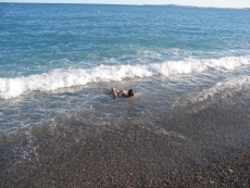 20060830185008.jpg